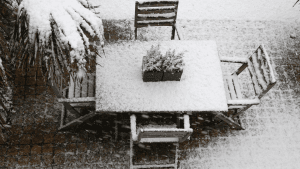 Gartenmöbel für den Winter vorbereiten