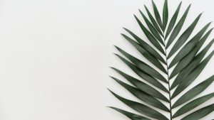 Decoration leaf