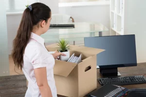 Career Boxie24