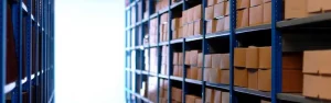 Storage racks with archive boxes