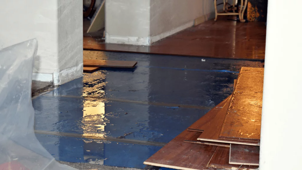 Water damage on wooden floor