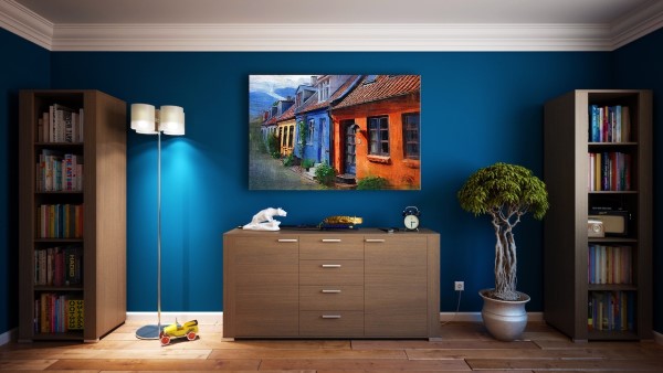 Decorating your house with plants and paintings