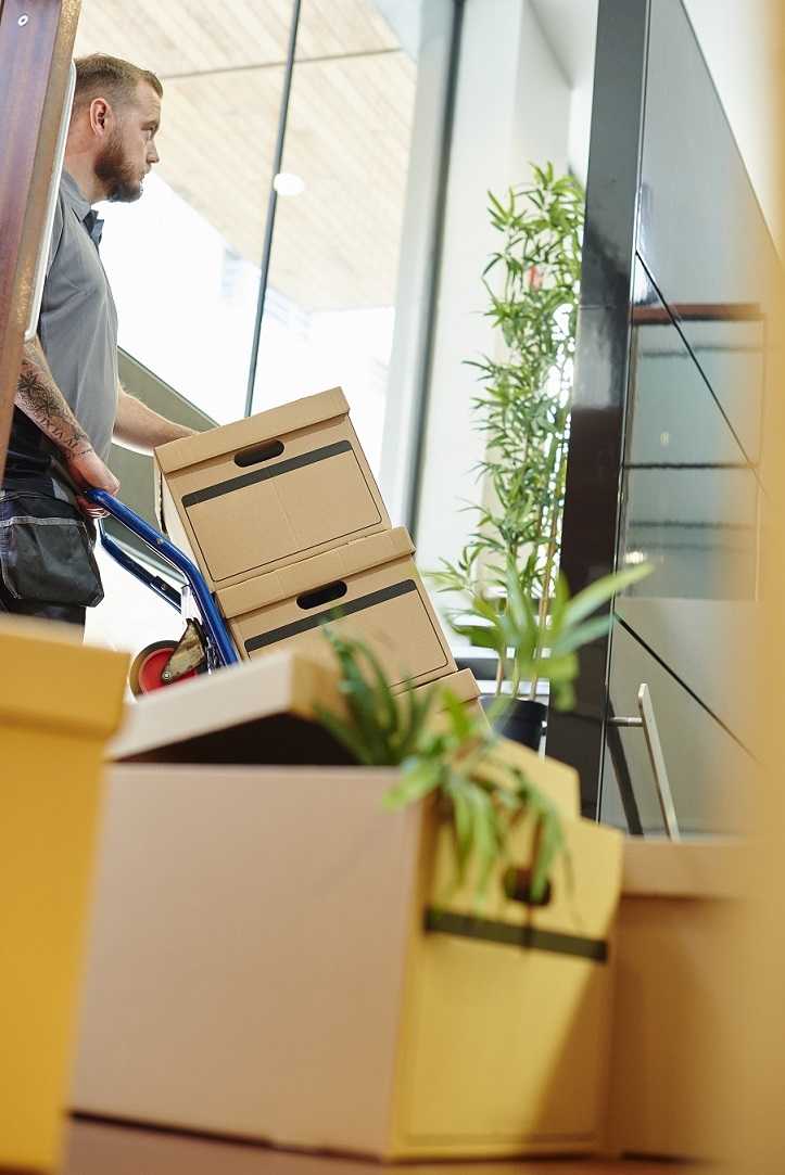 A man is transporting a moving box so split the house after a divorce