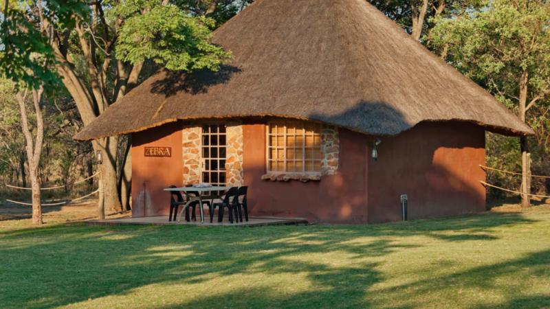 Tiny house in the garden